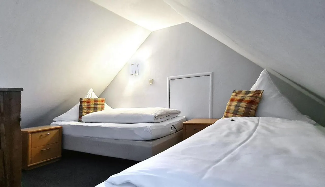 Donau-Hotel Sinzing Hotel